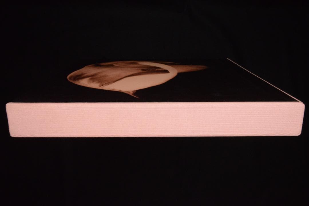 【 PISTILS】Robert Mapplethorpe★大幅に値下げしました