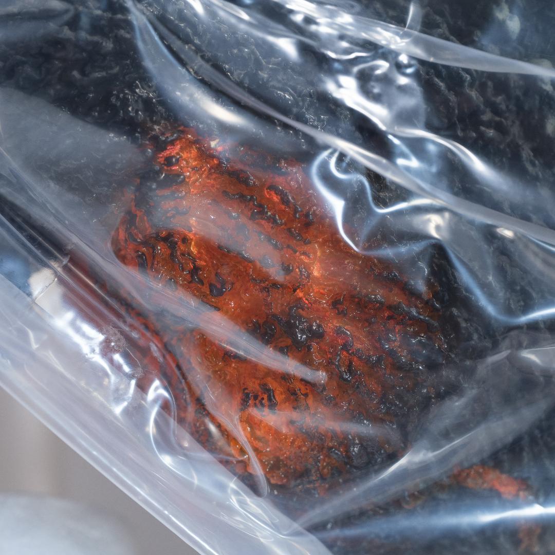 【内容物未開封】ギガンティックシリーズ ゴジラ(1995) ファイナルバトル