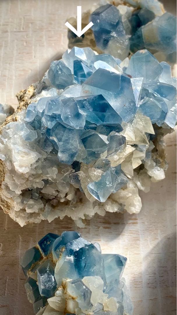 希少！犬牙状カルサイト共生のセレスティン特大クラスター標本