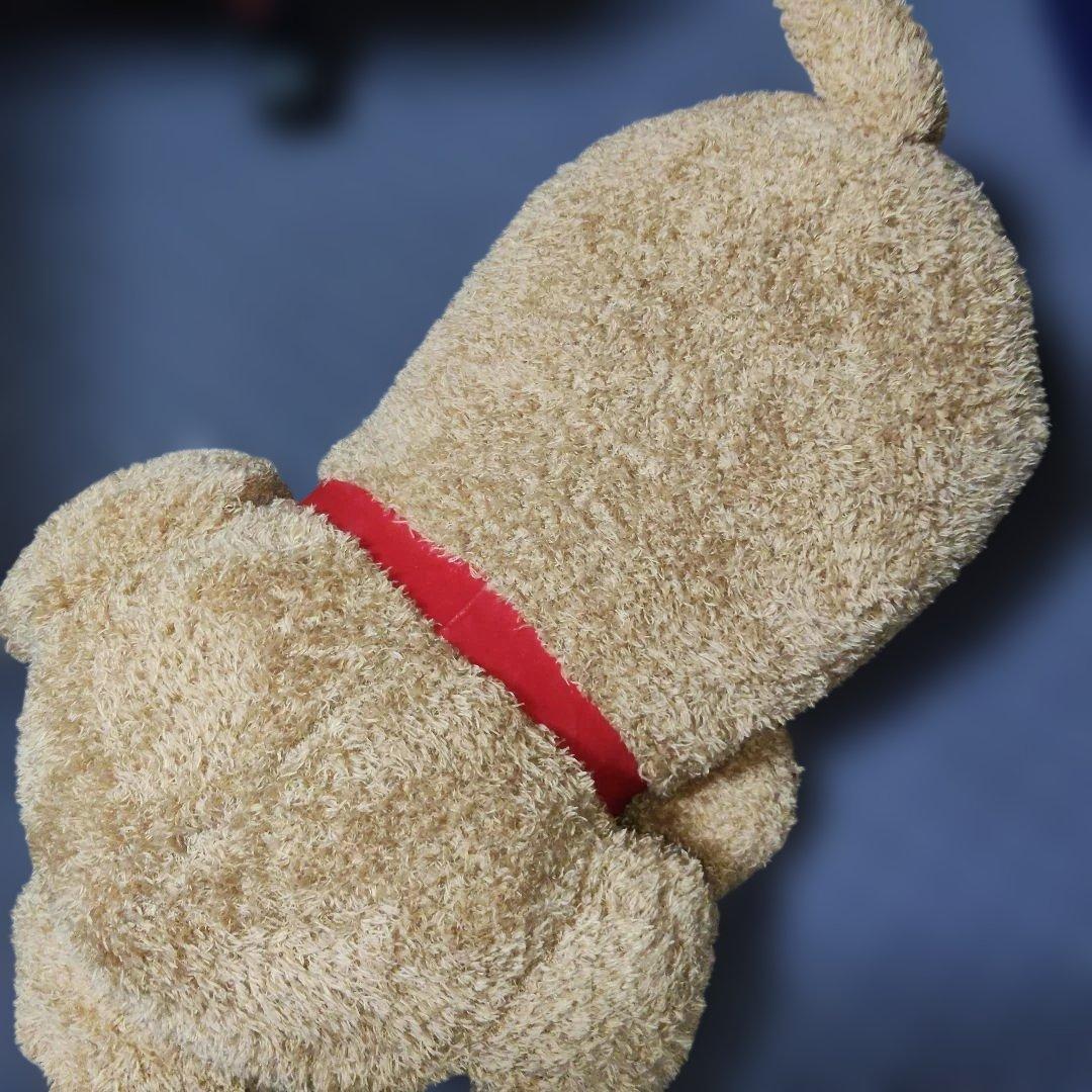 安立屋限定 いぬくじ特等 スタンダードプードル トイプードル 浅草