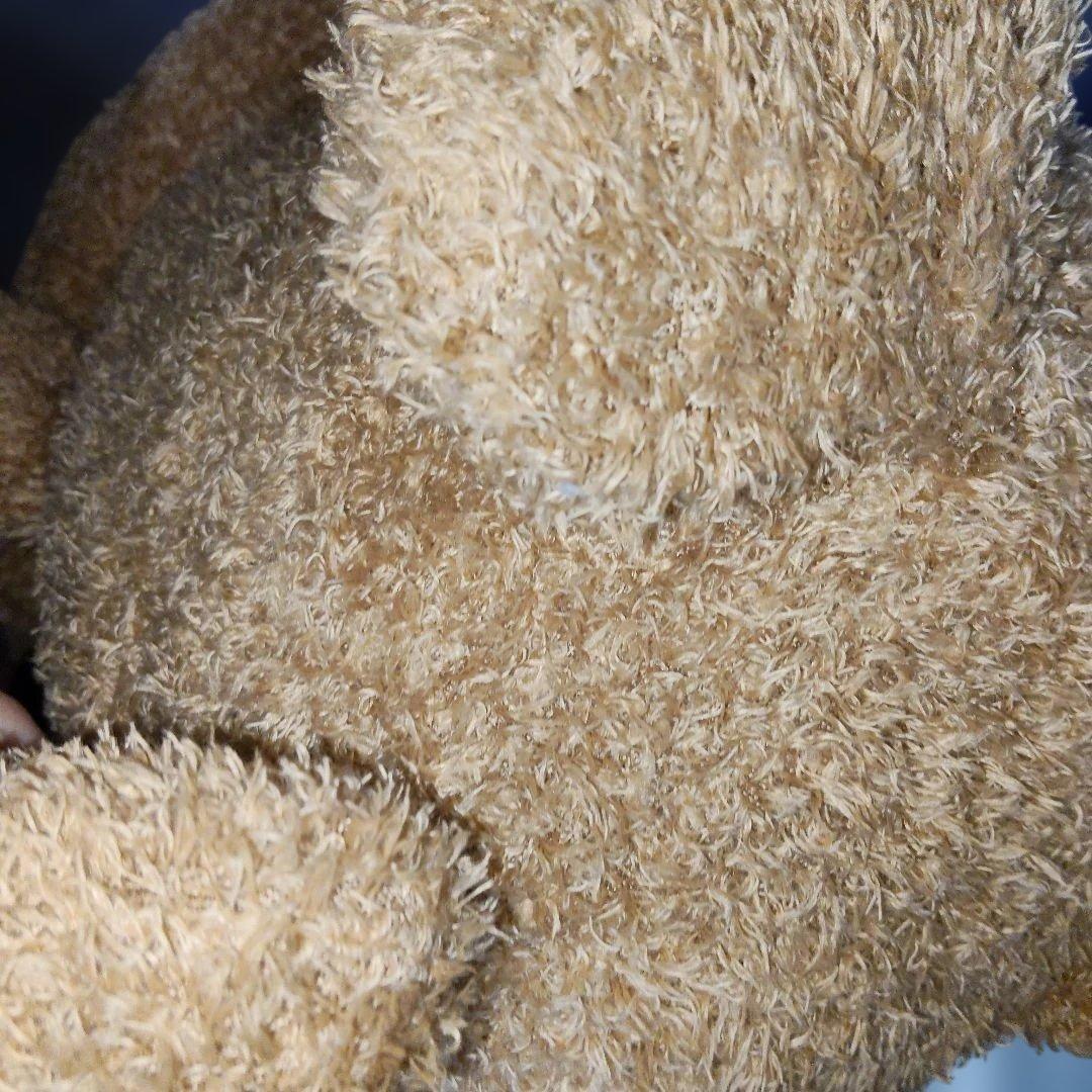 安立屋限定 いぬくじ特等 スタンダードプードル トイプードル 浅草