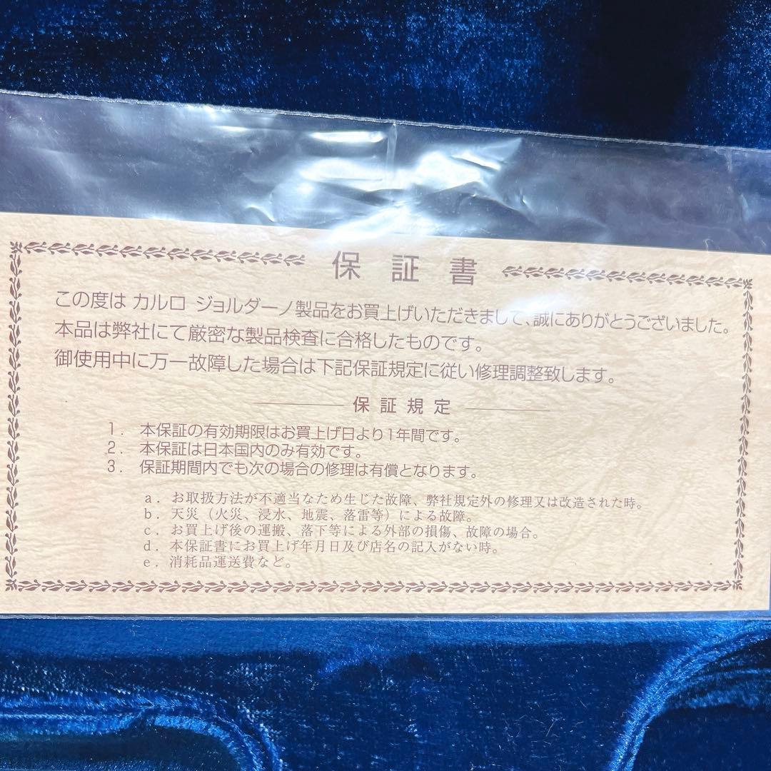 【未使用に近い】Carlo giordano バイオリン VS-0-44 4/4