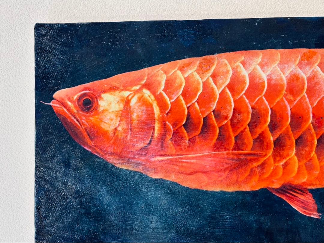 血紅龍　アロワナ　アクリルガッシュ　絵画　版画