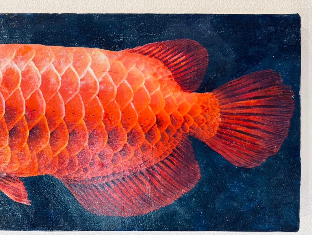 血紅龍　アロワナ　アクリルガッシュ　絵画　版画