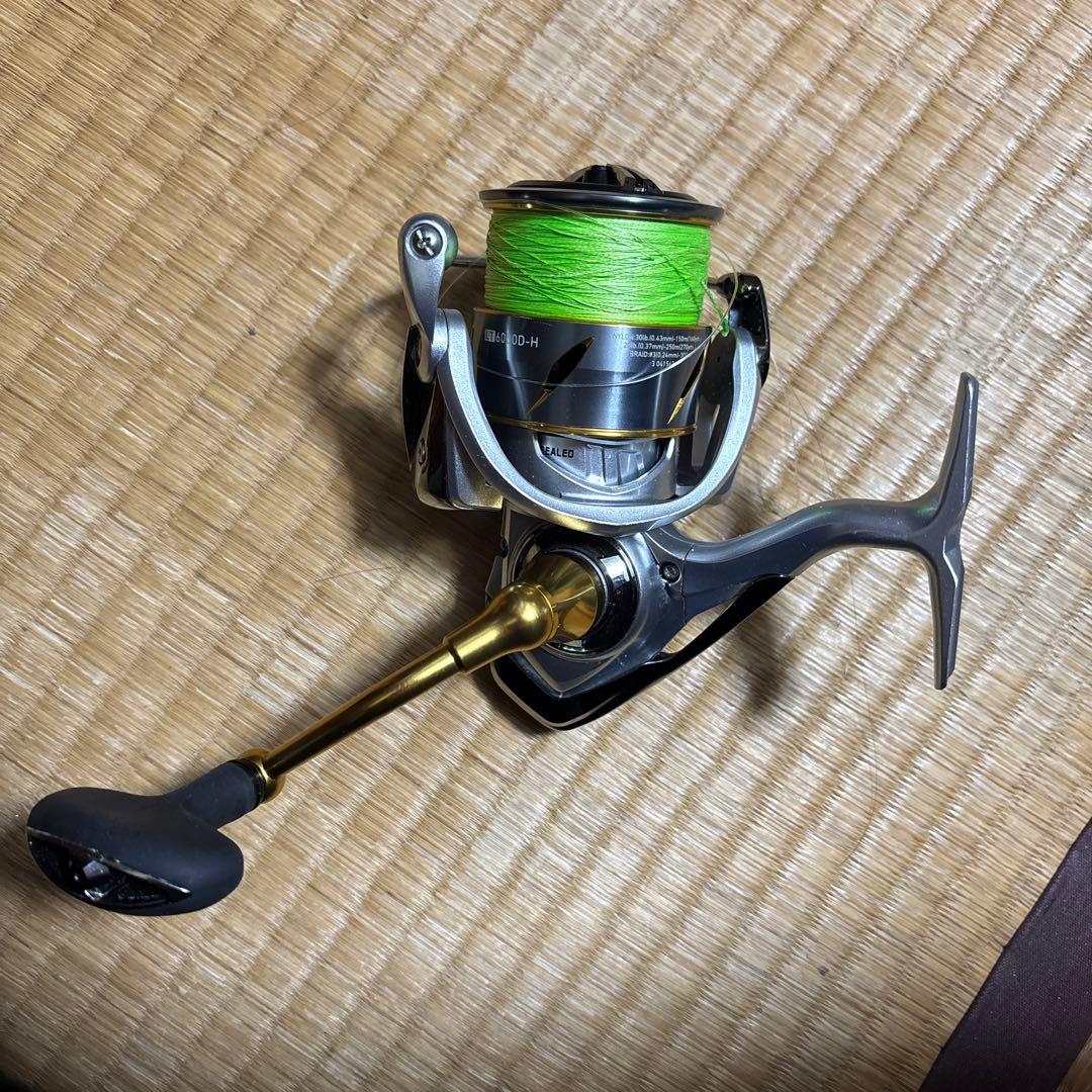 ダイワ　リール　LT6000D-H