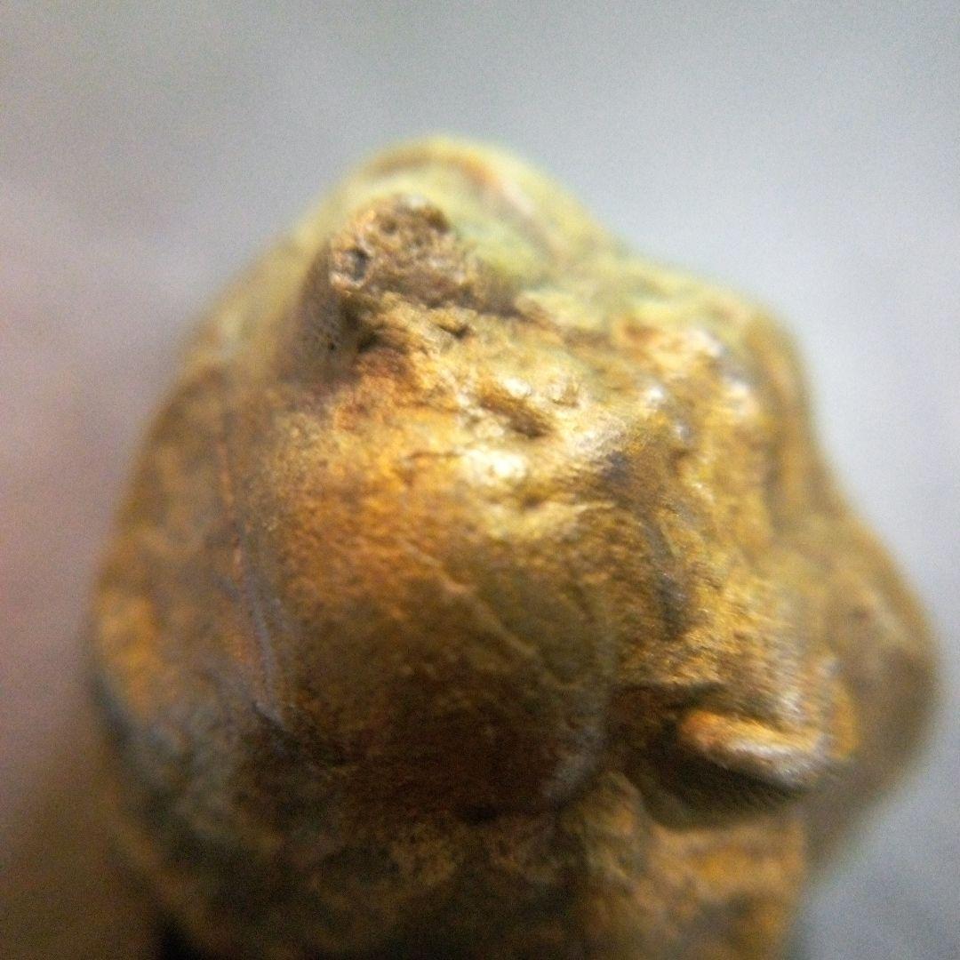 三葉虫　化石　fossil　ボリビア産　レア　Fossil管理⑥