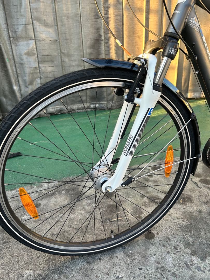 No.570 Pegasus Piazzaマウンテンバイク21速整備済み