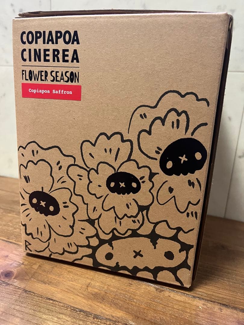 羅本製所 Copiapoa 黒王丸花季番紅花Robinceramicstudio