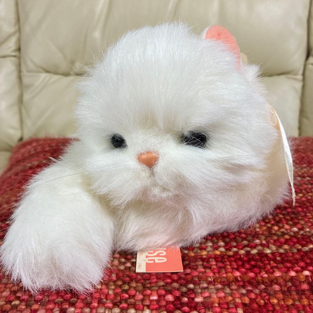 オオイケ　ペルシャネコ　ボビー　M