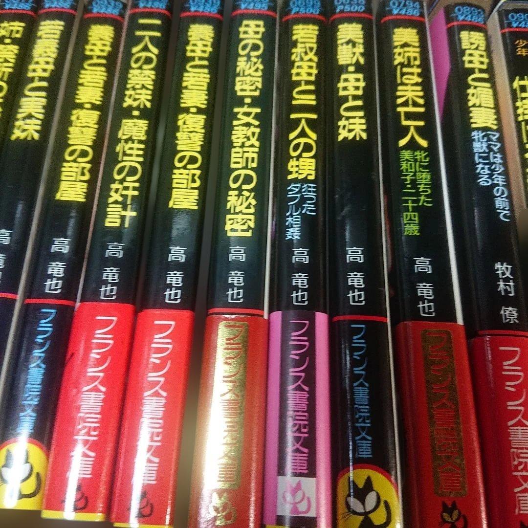 フランス書院文庫　60冊セット　まとめ売り
