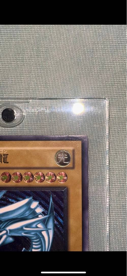 青眼の白龍 レリーフ 超濃青艶 美品クラス　sm-51