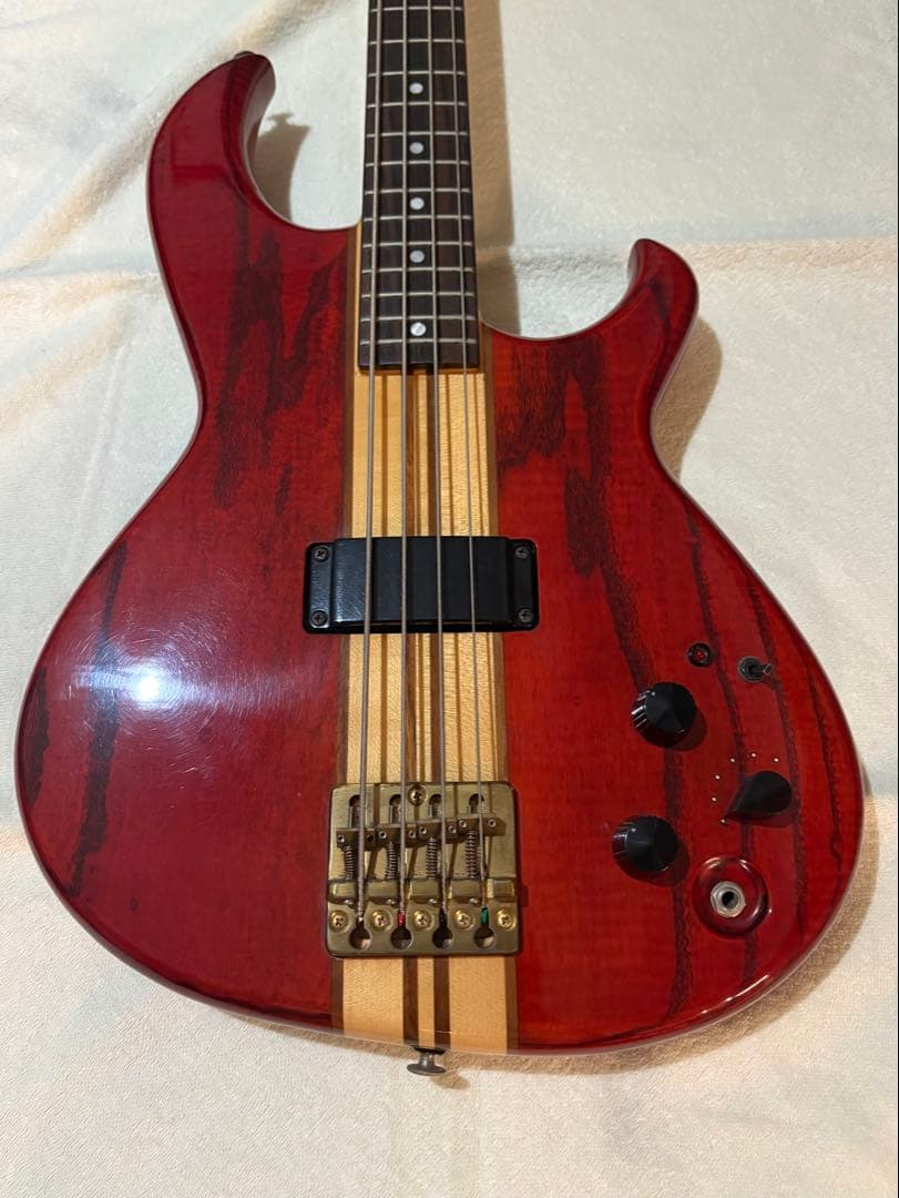 takamatsu様用Aria Pro II SB-1000