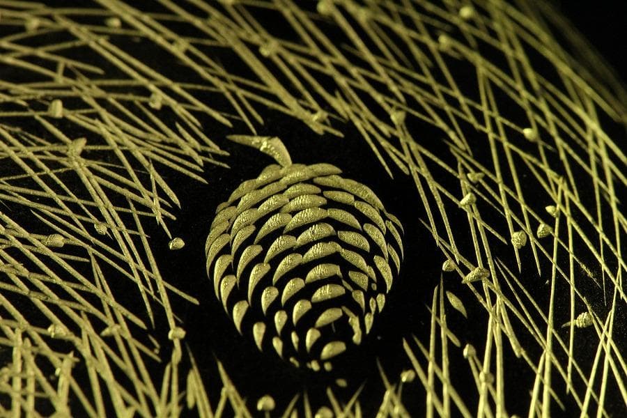 茶道具 沈金 松葉紋 棗 半洲作 共箱 美品(K-LC702)