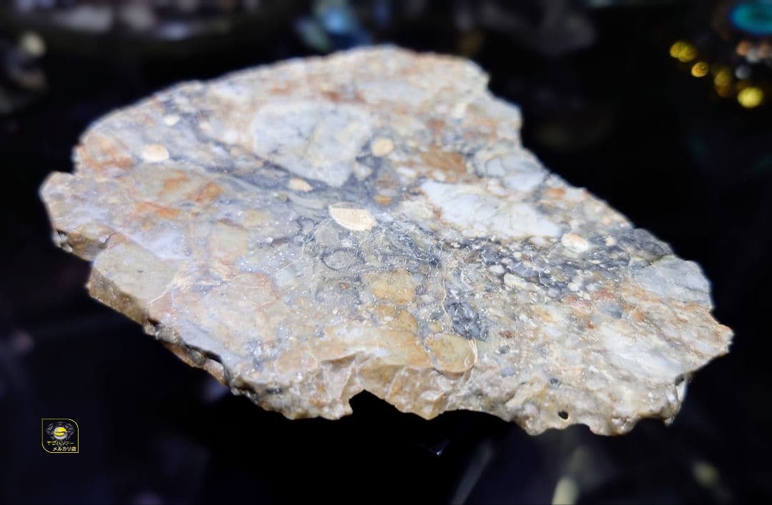 ⭐隕石 月隕石 NWA 18045 ✨ 47.3g ⭐