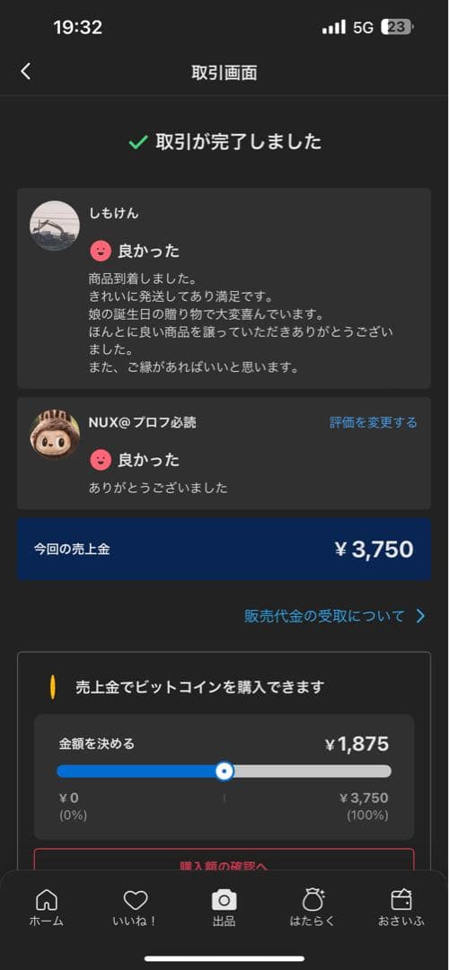 【正規品・未開封】Labubu Big into Energy