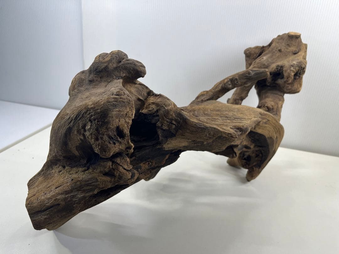 V67アク抜き済み流木 爬虫類シェルター 登り木 インテリア 生け花