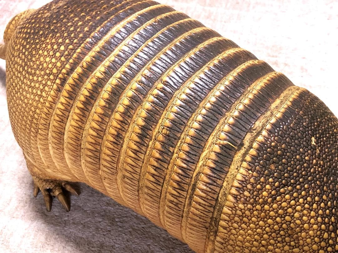 【 ココノオビアルマジロ剥製 】　合法品　完全体（一部修復）　木台付