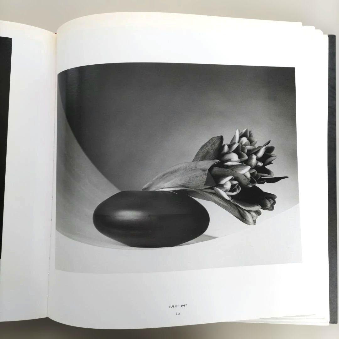 ROBELT MAPPLETHORPE/ロバート・メイプルソープ 写真集 洋書