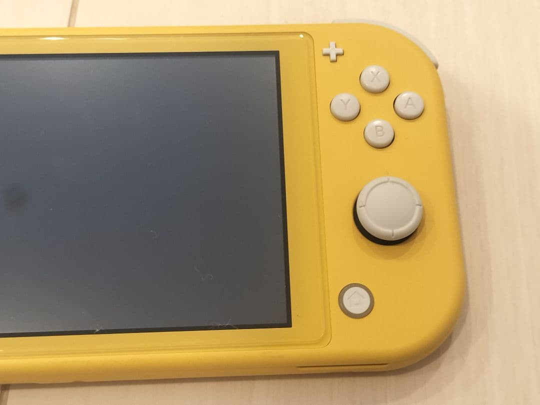 任天堂 Switch Lite スイッチライト本体 あつまれどうぶつの森 セット