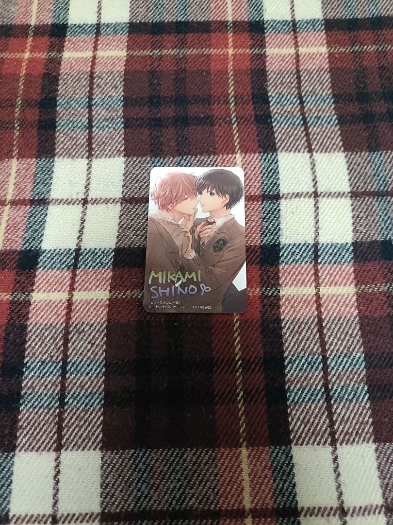 ピットスポルム　三上志乃　特典のみ