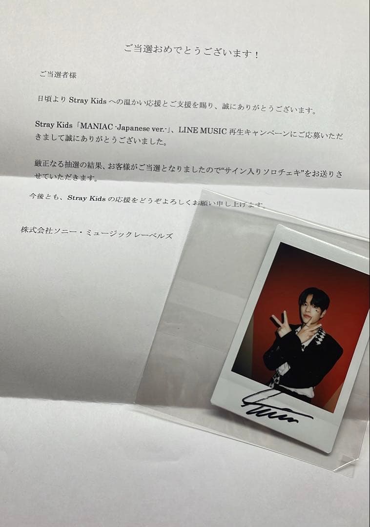 Stray Kids スンミン ソロチェキ