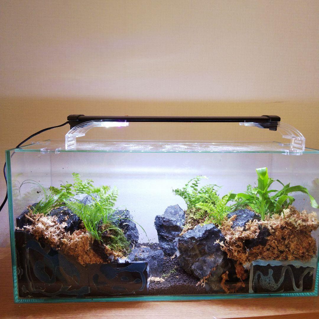 【受注生産】アクアテラリウム　カニリウム　イモリウム　苔　水槽　苔テラリウム