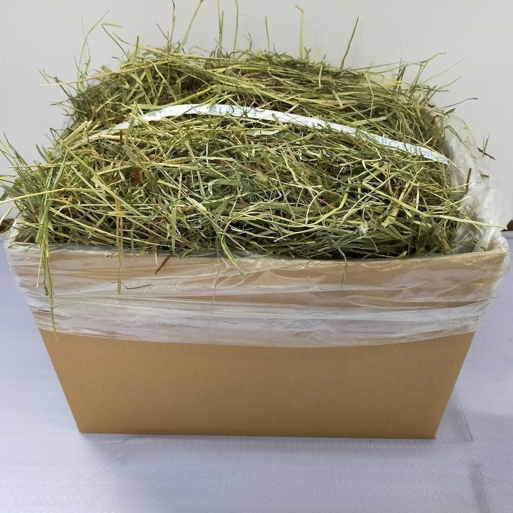 US産 チモシー 60kg ２番刈 ソフトスーパープレミアム