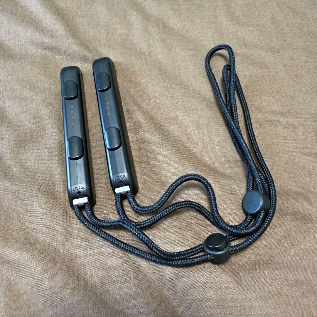 Nintendo Switch【SDカード512GB・専用バッグ付き】