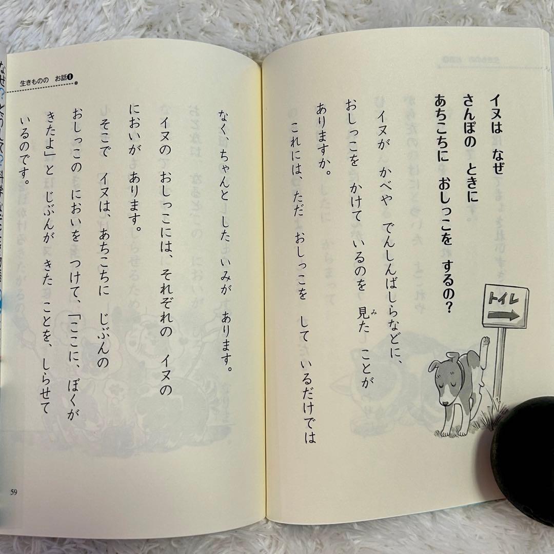 美品⭐︎児童書おまとめ38冊　就学前〜中学年　くもん推薦図書等⭐︎差し替え可（２冊）