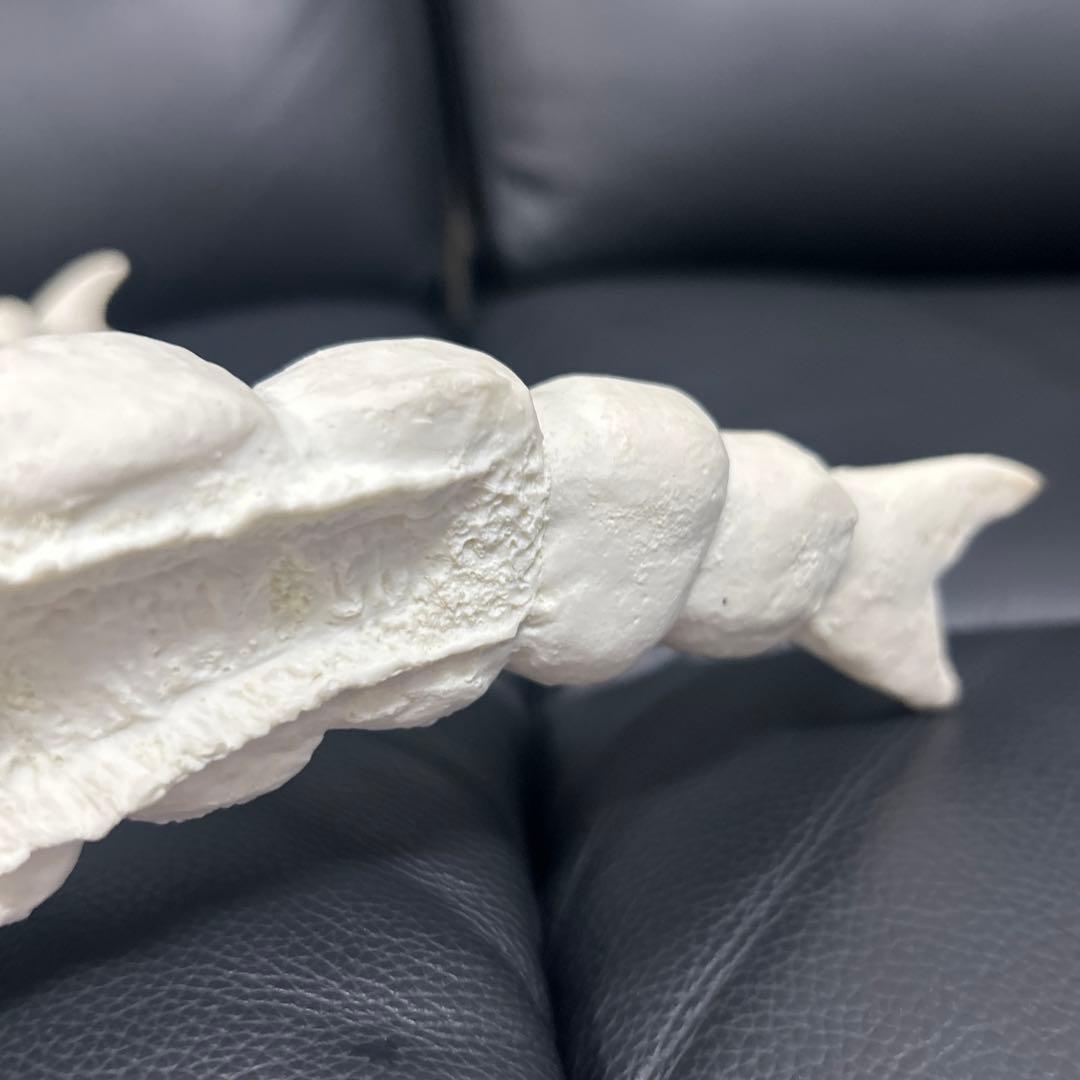 パラダイス　モスラ　幼虫(約４０センチ)　モスラ対ゴジラ