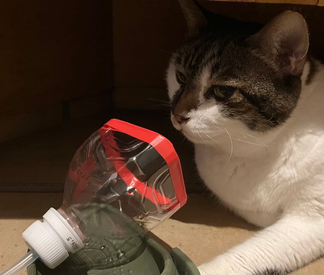 酸素濃縮器 mini1.0+酸素室Sセット