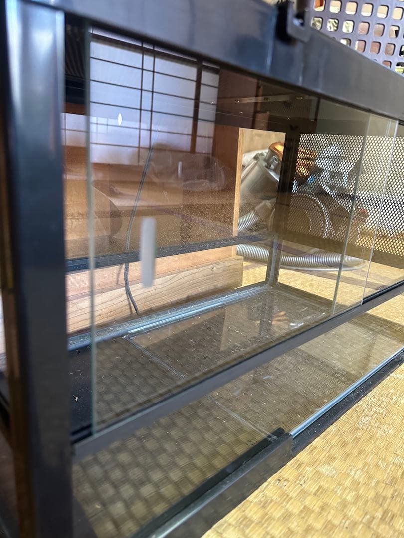 みどり商会 ケースバイケース レオパセット 発送不可