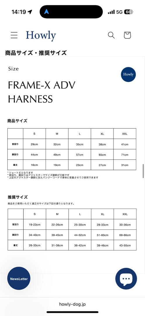 【Mサイズ白】 試着のみHowly FRAME-X ADV HARNESS