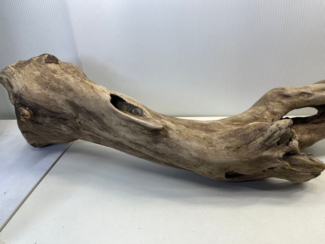 R64特大流木 アク抜き済み流木 爬虫類シェルター 登り木 インテリア 生け花
