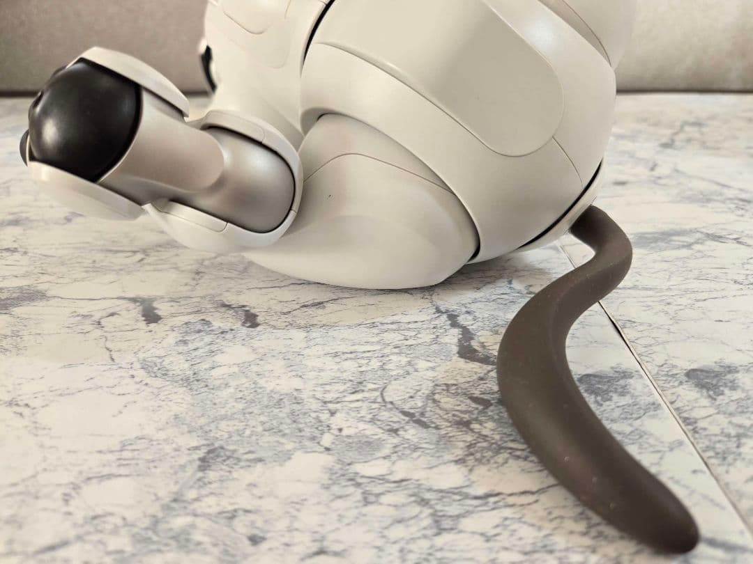 SONY　aibo ERS -1000 美品