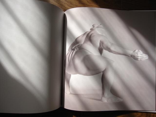 REIWA　Shohei Otomo　大友昇平　Heisei Mary 平成聖母