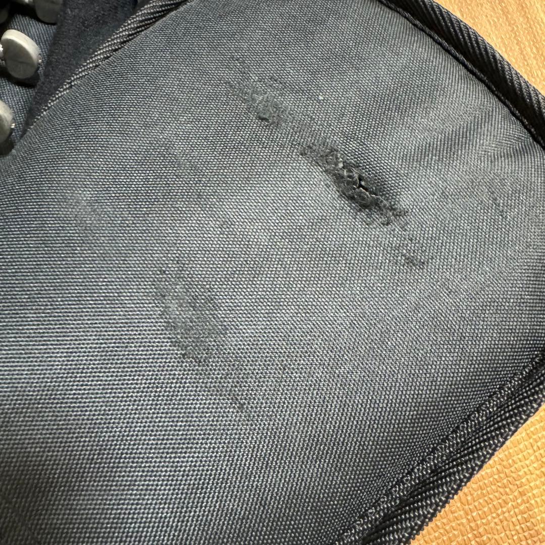 Epiphone エピフォン Dot EB 純正ソフトケース付き