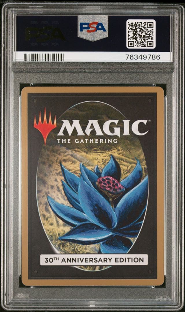 PSA10 Raging 旧枠　30th Anniversary