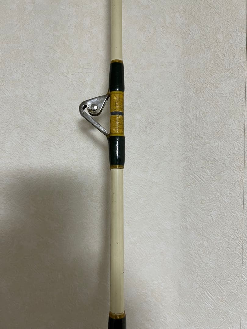 PENN INTERNATIONAL IGFA 2本セット ロッド