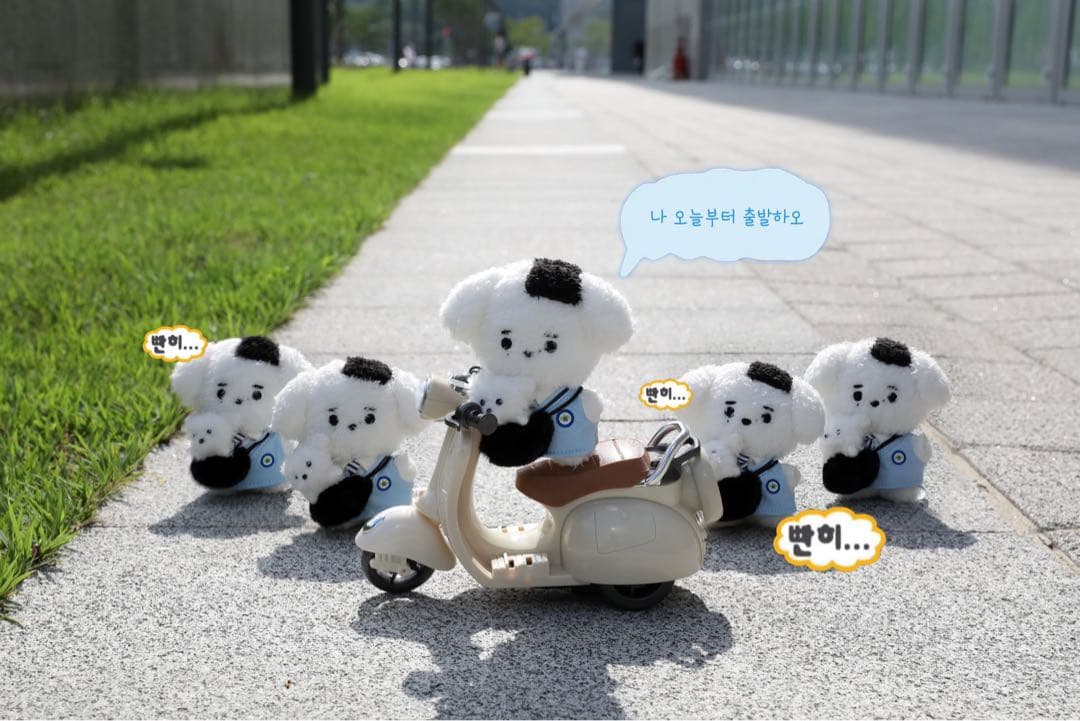 ENHYPEN エナプ ソンフン マスター ドール ぬいぐるみ 10cm 犬