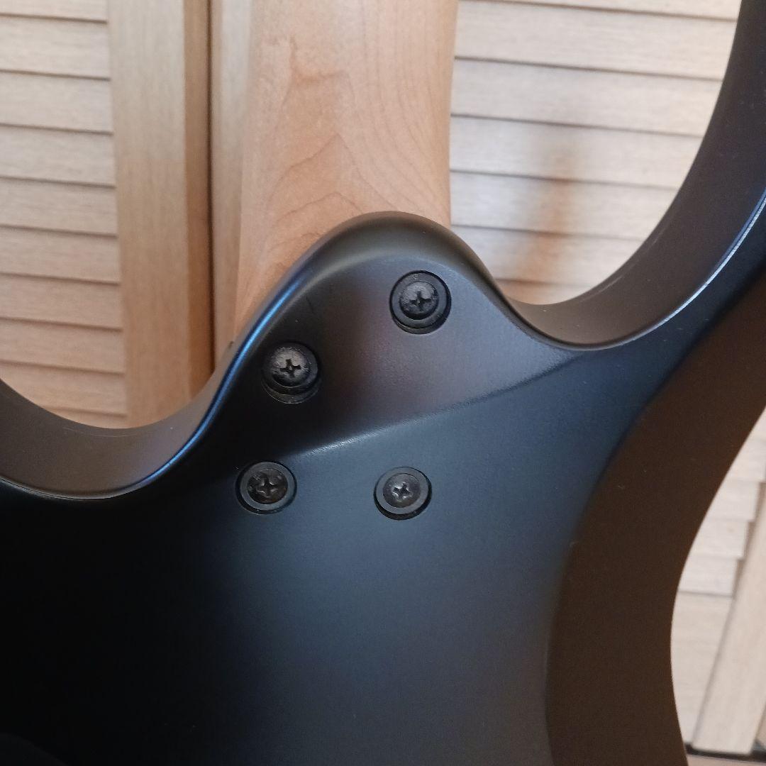 Ibanez エレキギター RG421EX