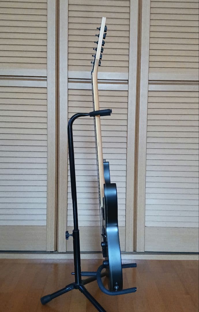 Ibanez エレキギター RG421EX