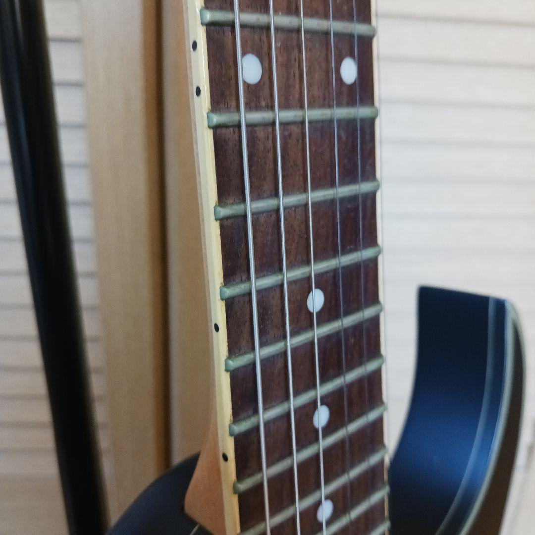 Ibanez エレキギター RG421EX