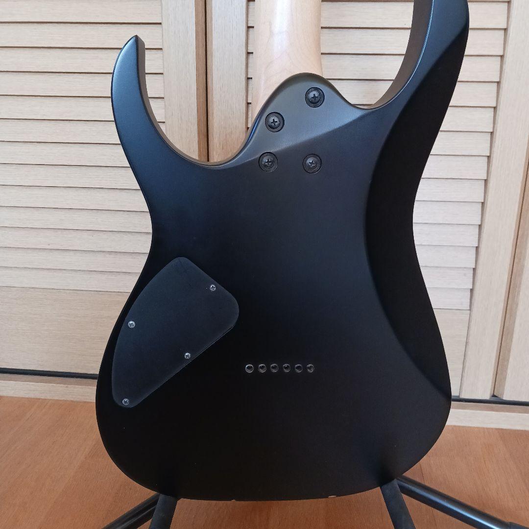 Ibanez エレキギター RG421EX