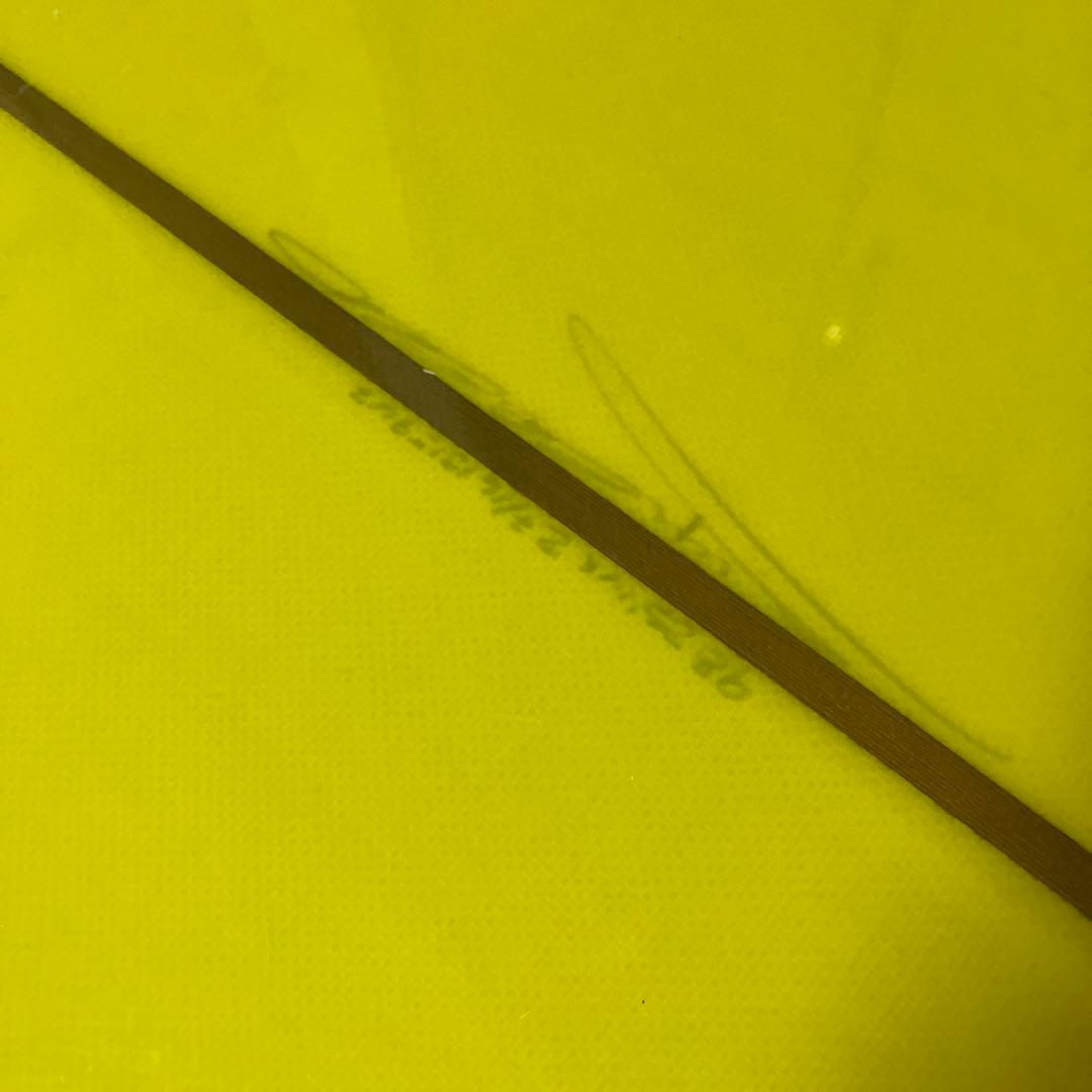 Chris Christenson Bonneville ロングボード　 9'8