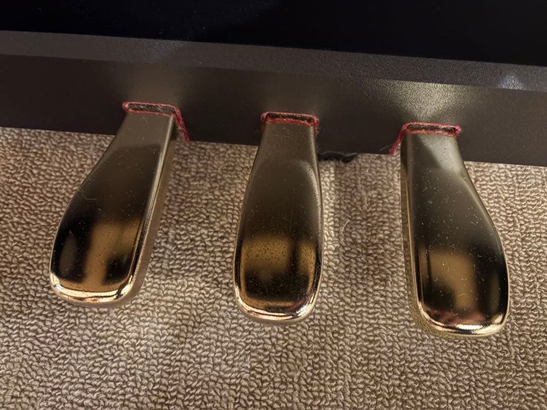 鍵盤楽器 CASIO Celviano Grand Hybrid GP-1000