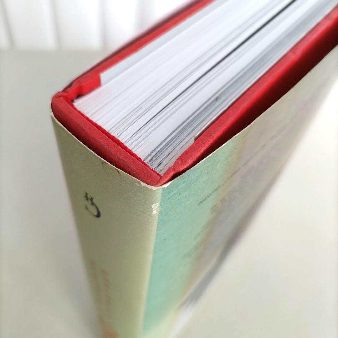 PALADINO/ミンモ・パラディーノ 作品集 アート 絵画 彫刻 洋書