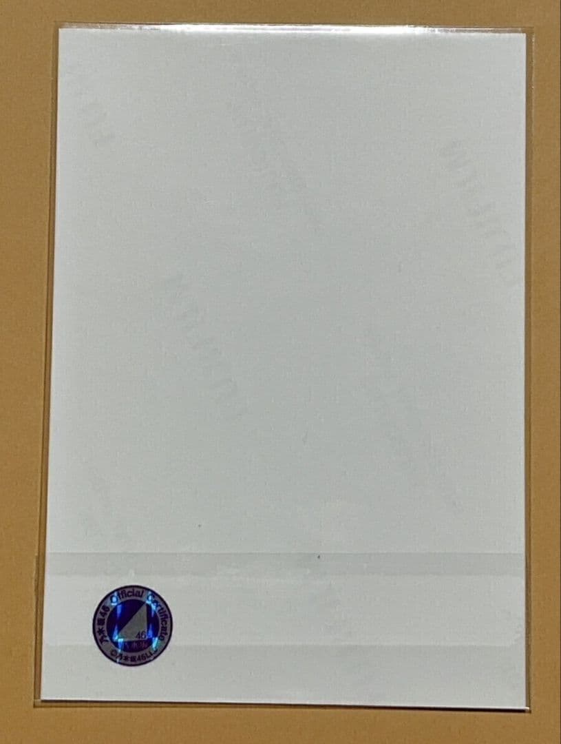 V*y様 乃木坂46 橋本奈々未 サイン入り生写真