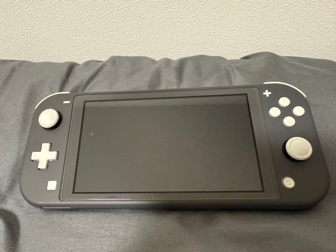 NintendoSwitchLiteグレー マリオブラザーズワンダーのカセット付