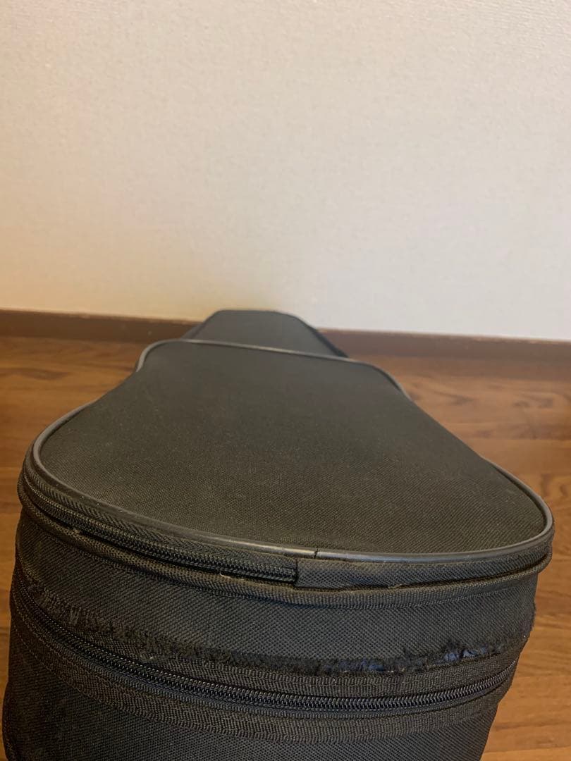 カルロジョルダーノ EV-202(C) エレクトリックバイオリン